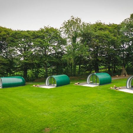 Further Space At Thornfield Luxury Glamping Pods, The Dark Hedges, Ballycastle 巴利马尼 外观 照片