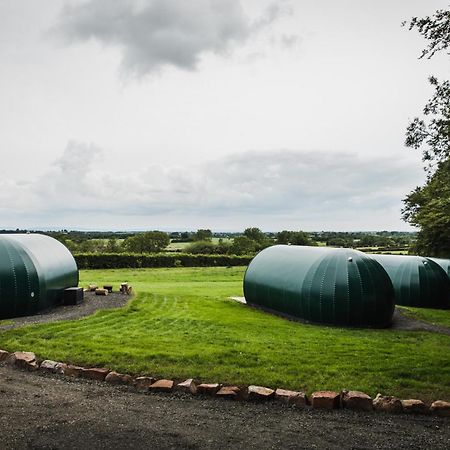 Further Space At Thornfield Luxury Glamping Pods, The Dark Hedges, Ballycastle 巴利马尼 外观 照片