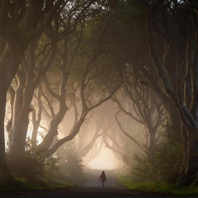 Further Space At Thornfield Luxury Glamping Pods, The Dark Hedges, Ballycastle 巴利马尼 外观 照片
