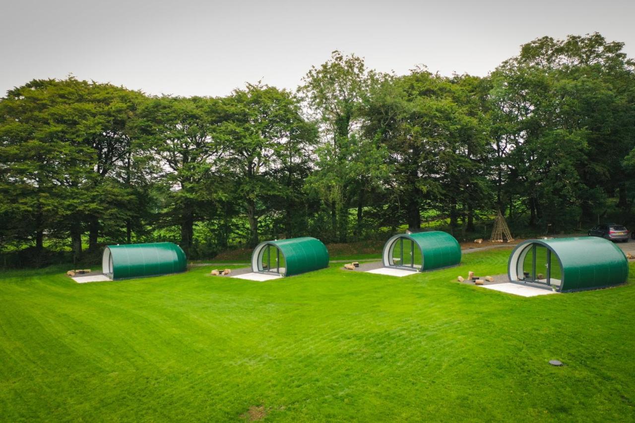 Further Space At Thornfield Luxury Glamping Pods, The Dark Hedges, Ballycastle 巴利马尼 外观 照片