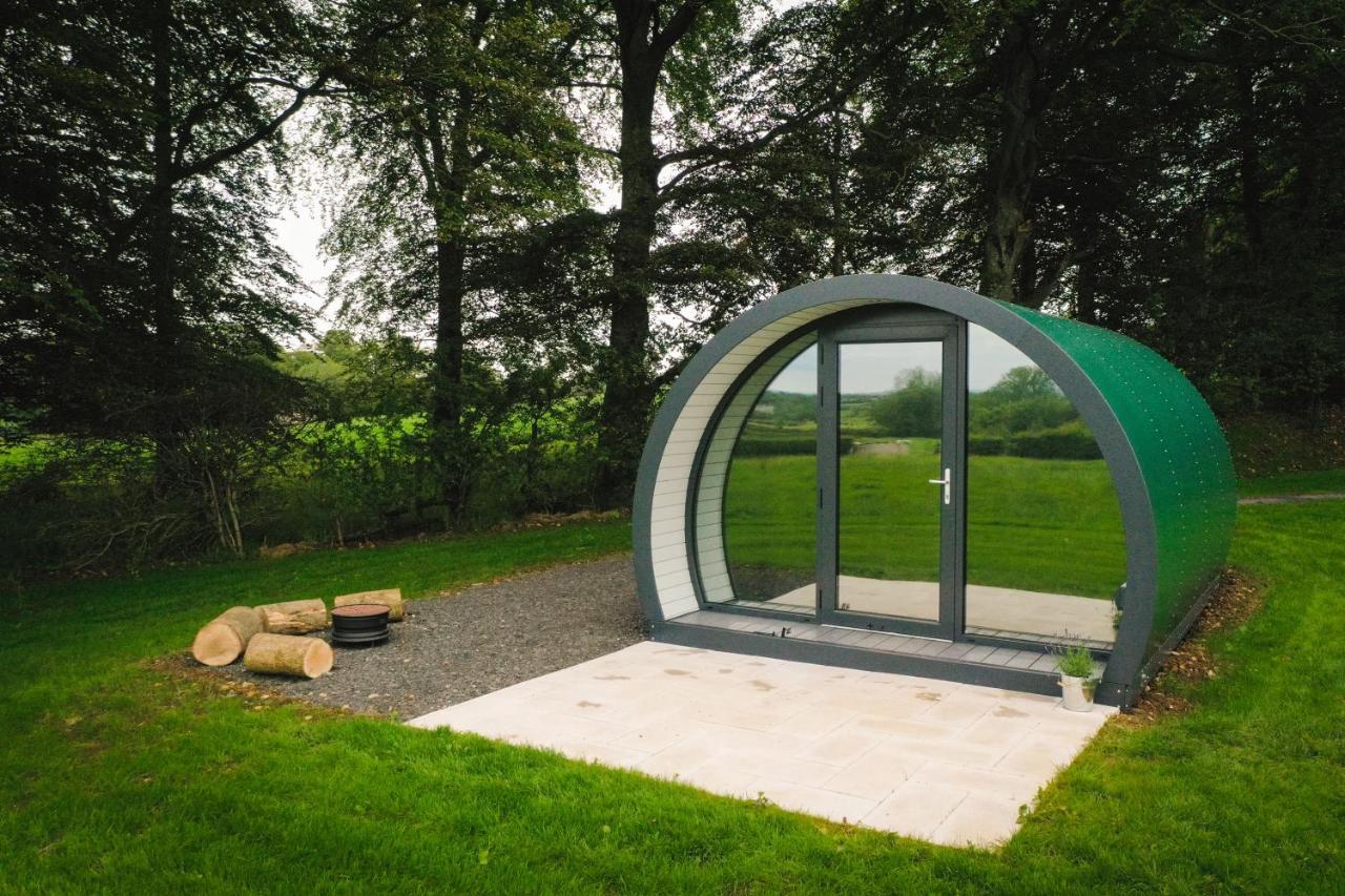 Further Space At Thornfield Luxury Glamping Pods, The Dark Hedges, Ballycastle 巴利马尼 外观 照片