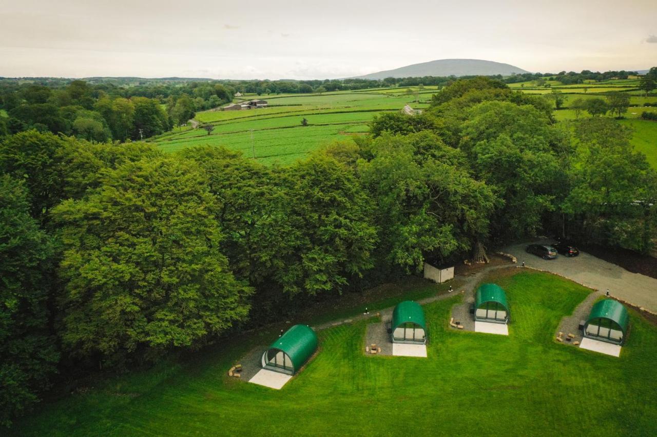 Further Space At Thornfield Luxury Glamping Pods, The Dark Hedges, Ballycastle 巴利马尼 外观 照片