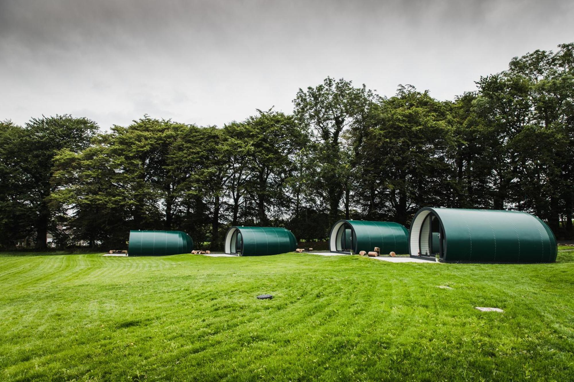 Further Space At Thornfield Luxury Glamping Pods, The Dark Hedges, Ballycastle 巴利马尼 外观 照片